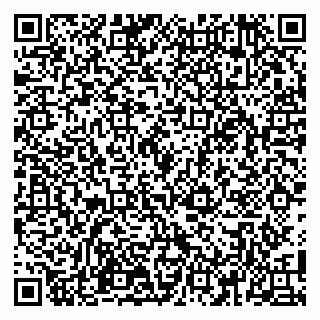 vCard 79100110321