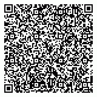 vCard 79100110331