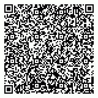 vCard 79100110332