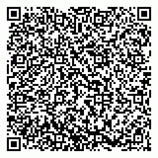 vCard 79100110333