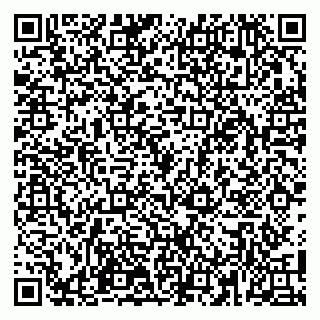 vCard 79100110335