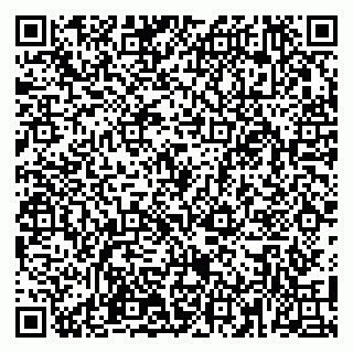 vCard 79100110337