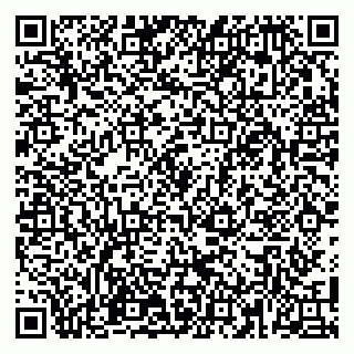 vCard 79100110338