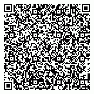 vCard 79100110363
