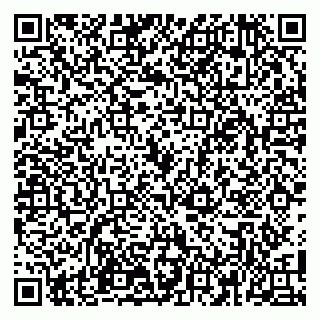 vCard 79100110371
