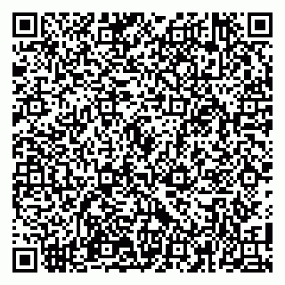 vCard 79100110373