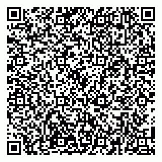vCard 79100110374