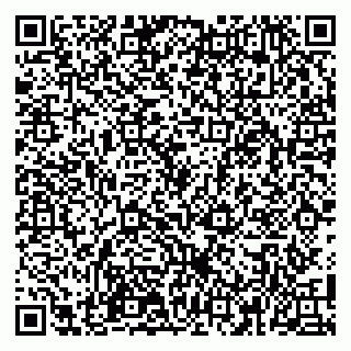 vCard 79100110375