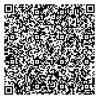 vCard 79100110376
