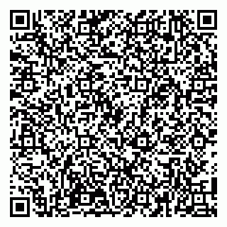 vCard 79100110377