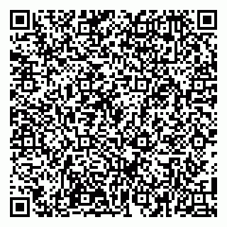 vCard 79100110378