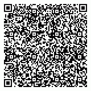 vCard 79100110379