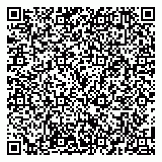 vCard 79100110380