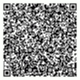 vCard 79100110381