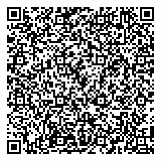 vCard 79100110382