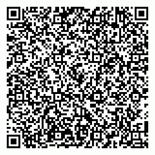 vCard 79100110383