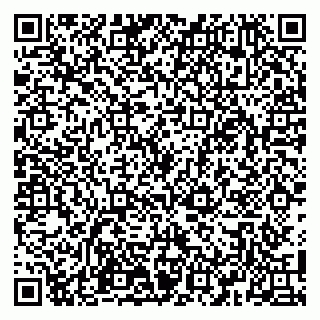 vCard 79100110384