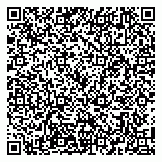 vCard 79100110387