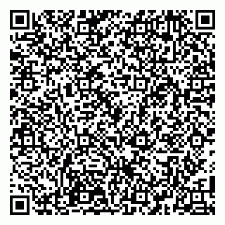 vCard 79100110389