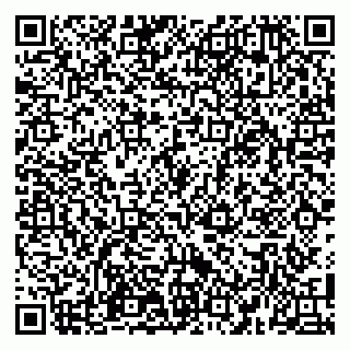 vCard 79100110390