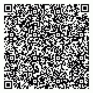 vCard 79100120001
