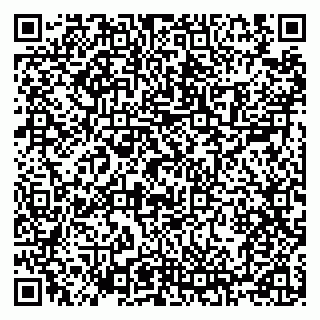 vCard 79100120053