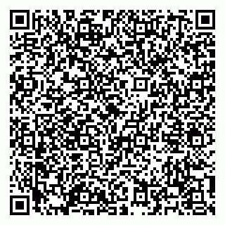vCard 79100120085