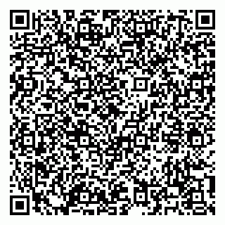 vCard 79100120091