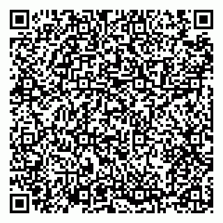 vCard 79100120110