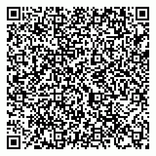 vCard 79100120133