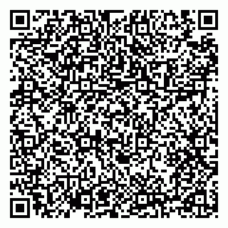 vCard 79100120171