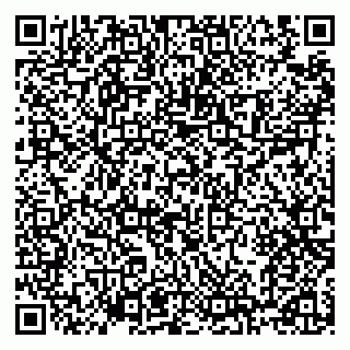 vCard 79100120176