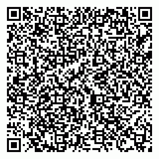 vCard 79100120185