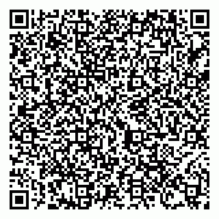 vCard 79100120196