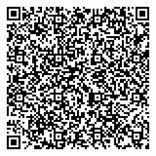 vCard 79100120260