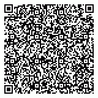 vCard 79100120261