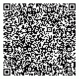vCard 79100120271