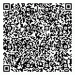 vCard 79100120273