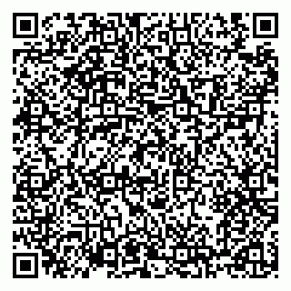 vCard 79100120274