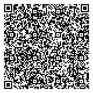 vCard 79100120276