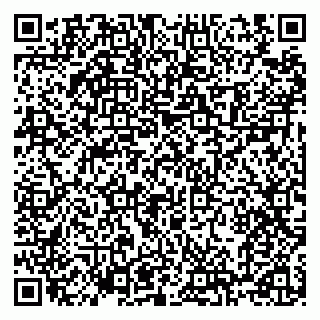 vCard 79100120281