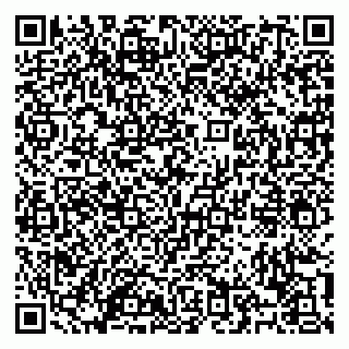vCard 79100120291