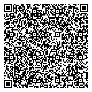 vCard 79100120295