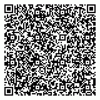 vCard 79100120297