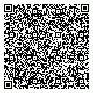 vCard 79100120299