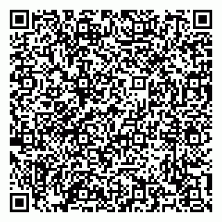 vCard 79100120334