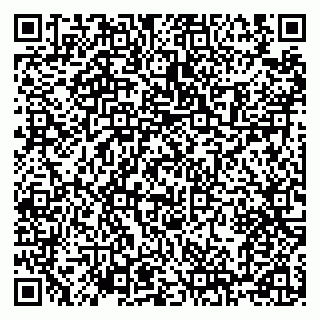 vCard 79100120335