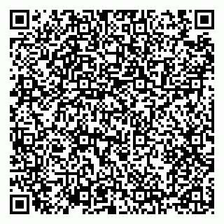 vCard 79100120370