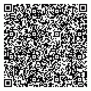vCard 79100120375