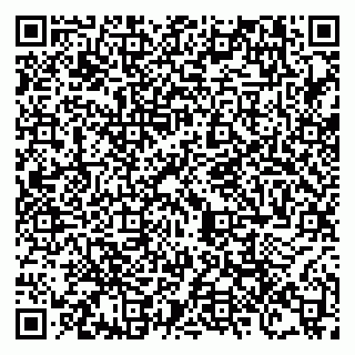 vCard 79100120377